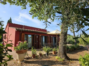 Casina Rossa Tavarnuzze